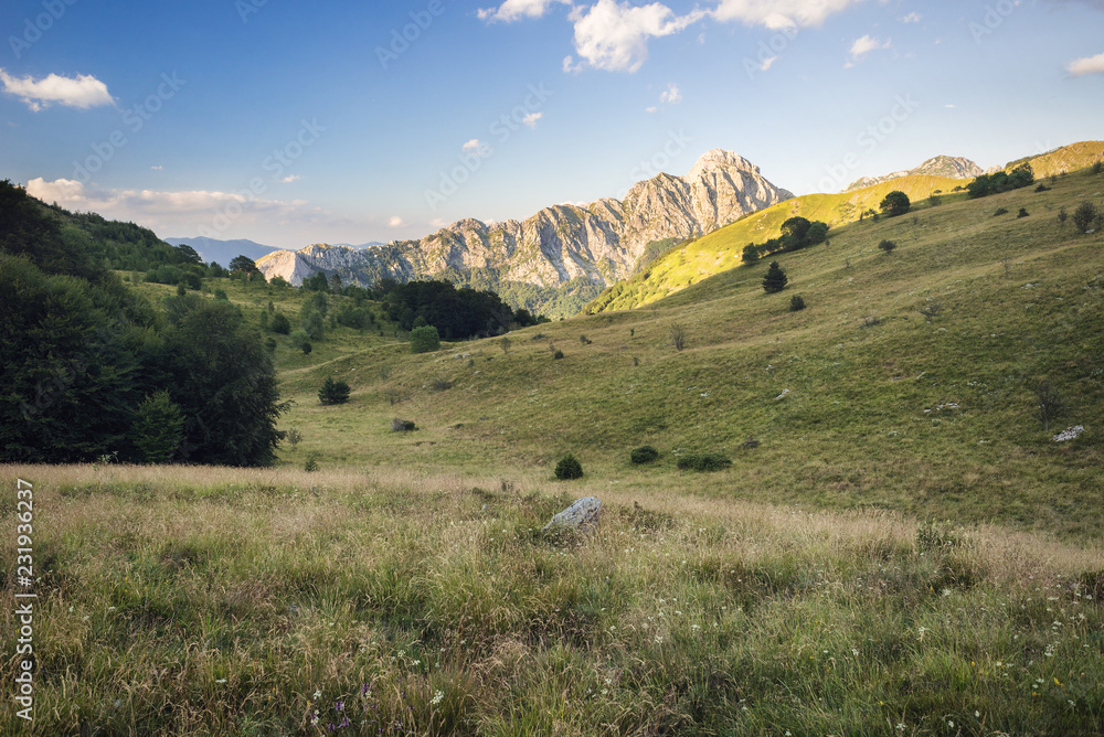 Obraz premium Mt. Pizzo d'Uccello in the Apuan Alps Regional Park