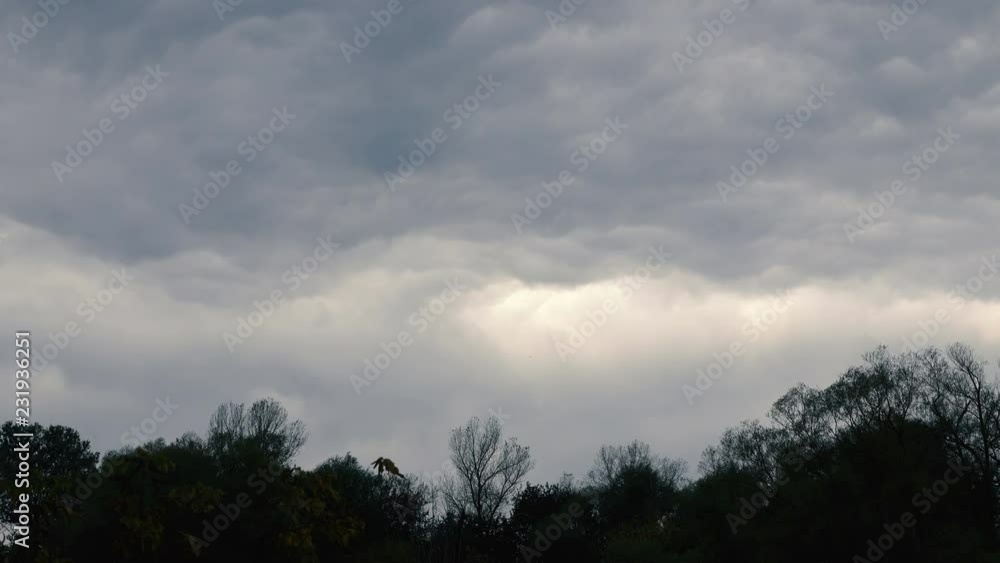 gloomy sky with rainy clouds and the silhouette of the forest. gloomy sky with rainy clouds and the silhouette of the forest.