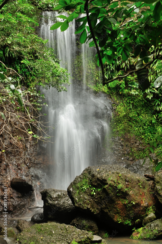 Cascade dans la forêt, Guadeloupe Cascade dans la forêt, Guadeloupe