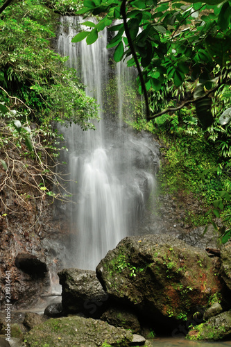 Cascade dans la forêt, Guadeloupe