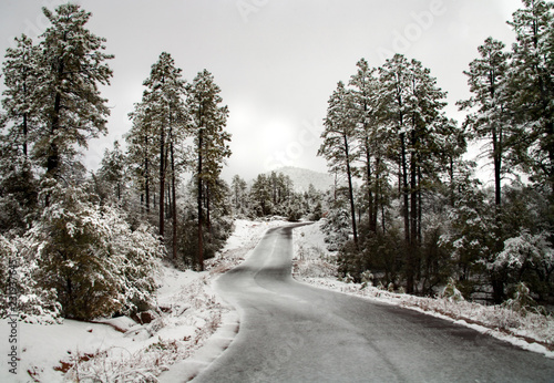 A road through the snow cover trees