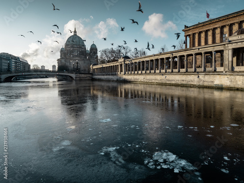 Vögel über der Spree