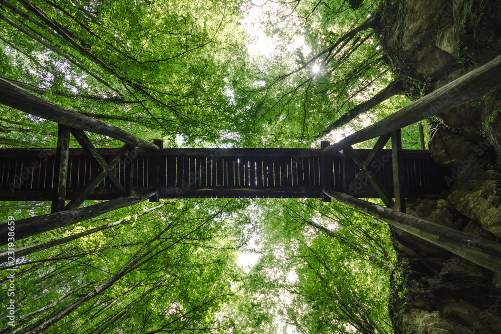 Obraz premium under the eooden bridge 