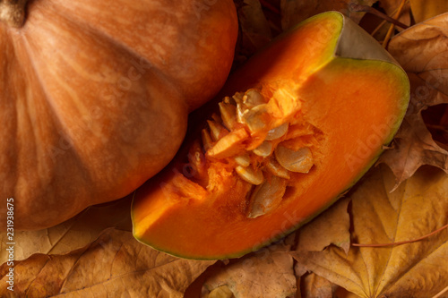 Orange Pumpkin on foliage background