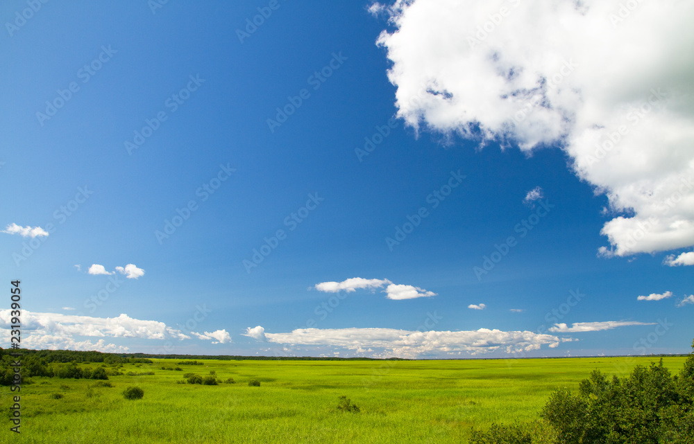 Blue sky green field