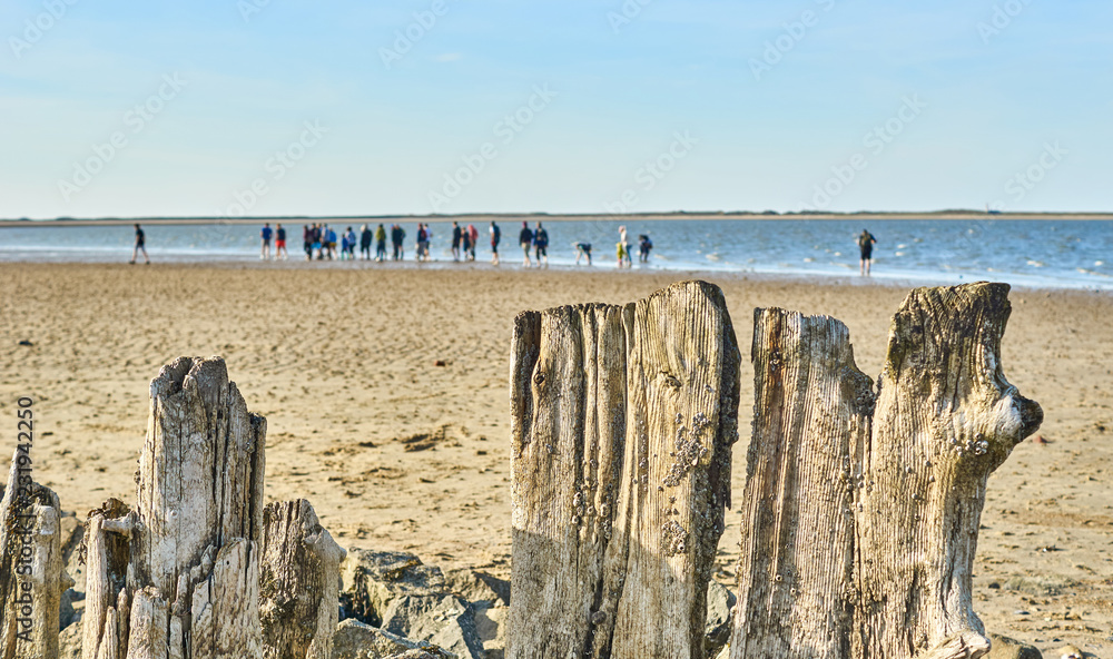 Wattwanderung mit Gruppe im Hintergrund mit Holzplanken Wattwanderung mit Gruppe im Hintergrund mit Holzplanken
