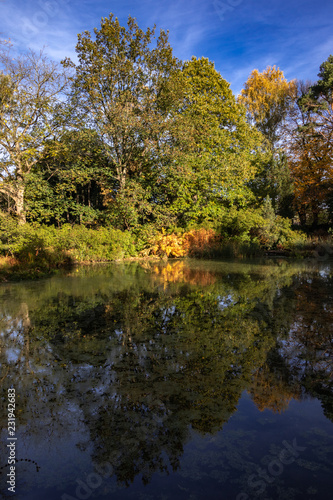 Wunderschöne Herbstlandschaft