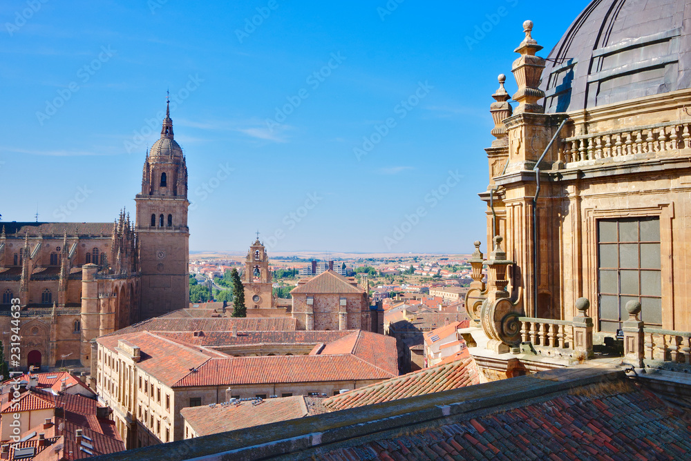 Domes of the Pontifical University. Salamanca