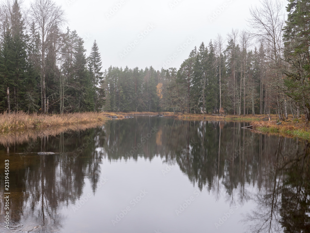 reflection of trees in lake reflection of trees in lake