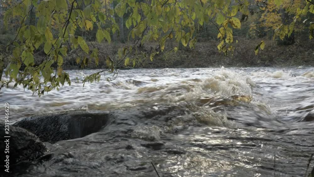 River with rapids in the autumn forest River with rapids in the autumn forest