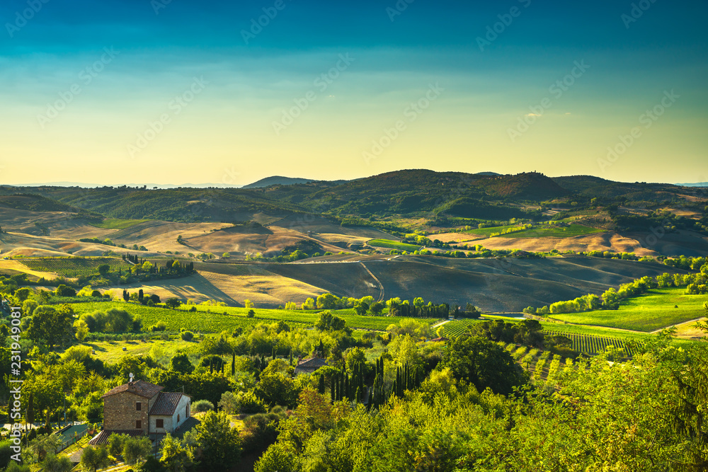Tuscany summer, Montepulciano countryside panorama. Siena, Italy