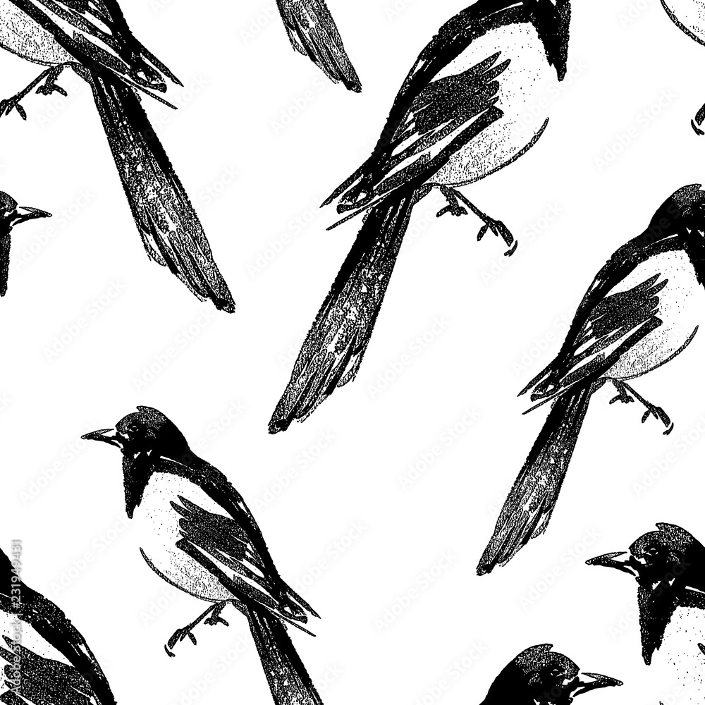 Φωτογραφία Seamless background of magpie sketches