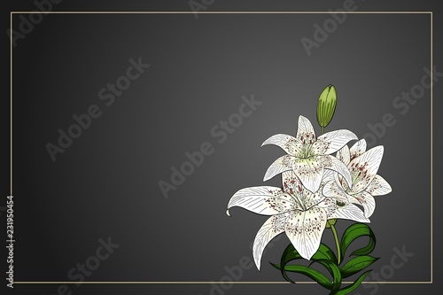 Lily bouquet on black background vector template