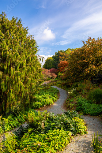 Pathway through the woods on a lovely summers day photo