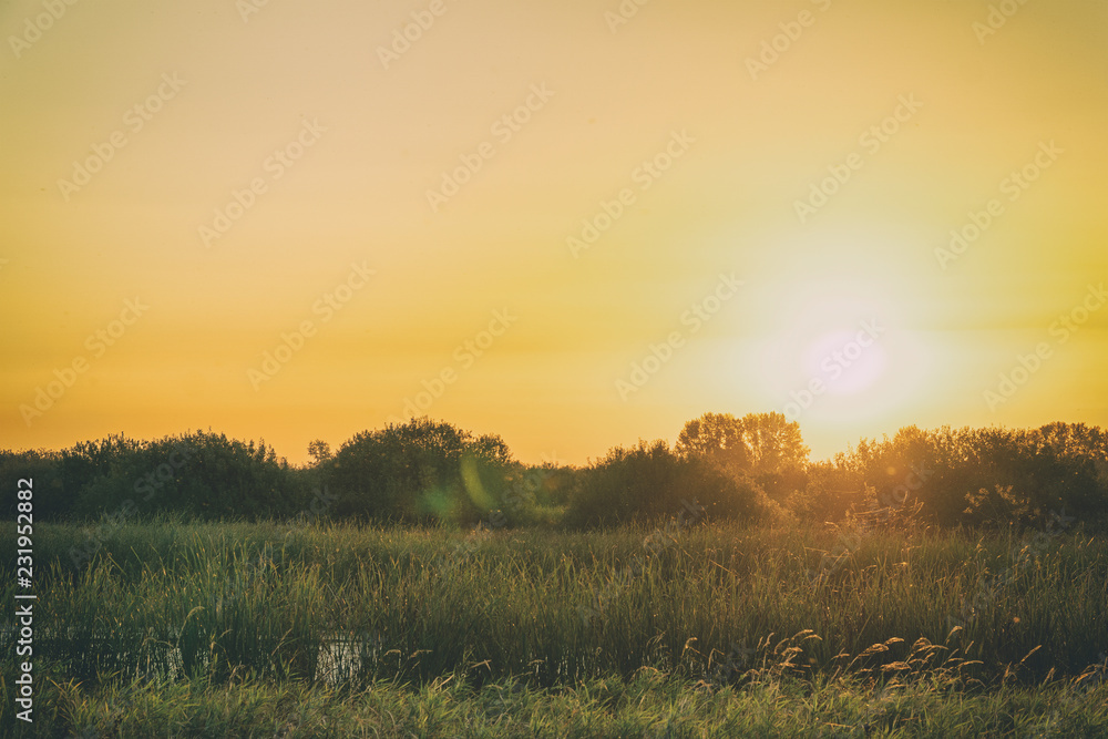 Sunrise over meadows on summer morning