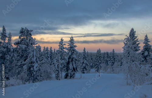 Winter landscape scenery in Lapland, Scandinavia with snow and traditional houses