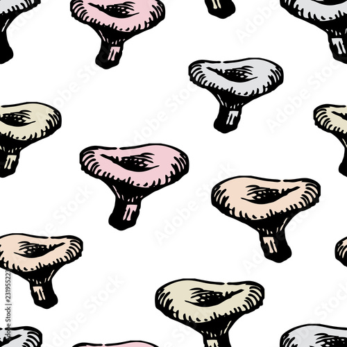 Vector background of russulas mushrooms