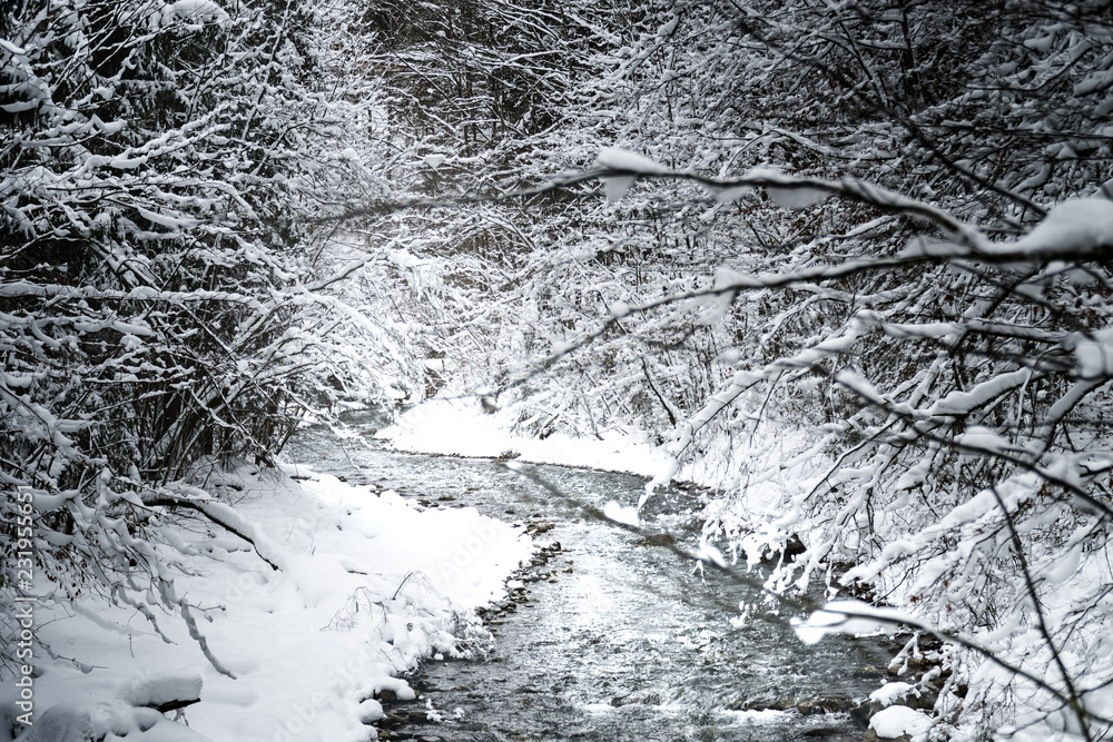 River running through a winter scenery covered with snow in a German forest. 