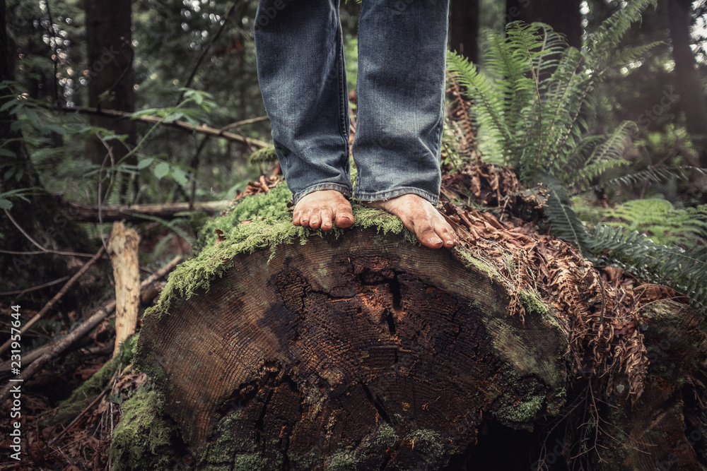 Fototapeta premium barefoot on a log