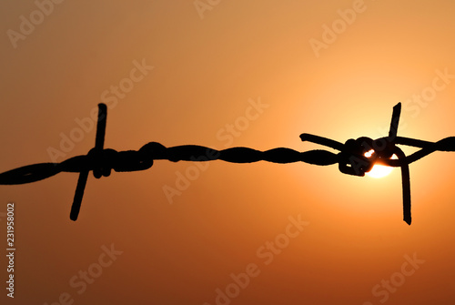 Barbed wire at sunset