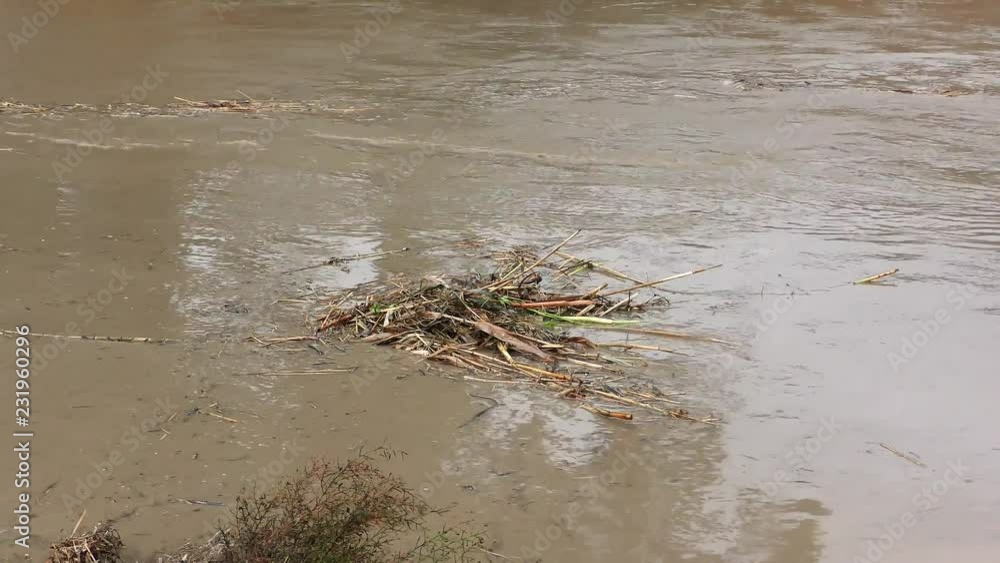 Flood of rushing water and vegetation. Brown floodwater after torrential rain and storm. Flood of rushing water and vegetation. Brown floodwater after torrential rain and storm.