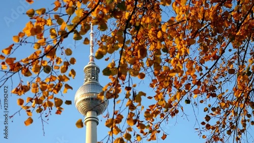 Berlin TV Tower, fall, golden and red leaves moving in a light breeze
