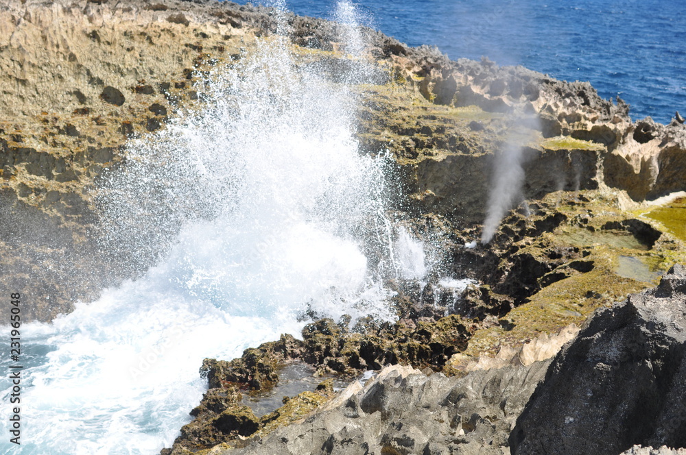 Fototapeta premium Houle se fracassant sur le récif