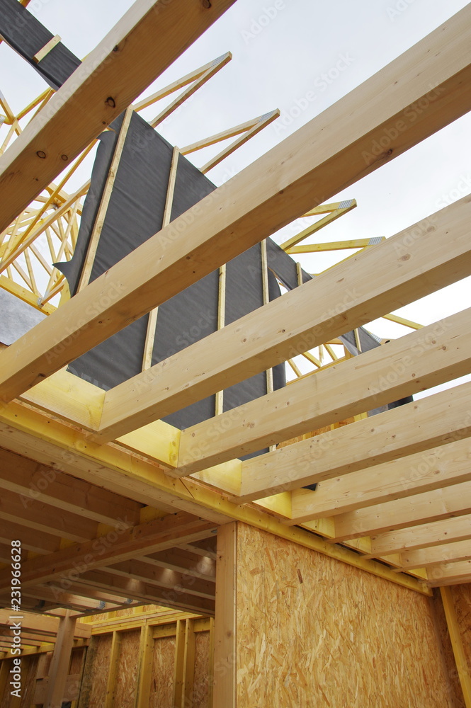 Obraz premium construction en ossature bois