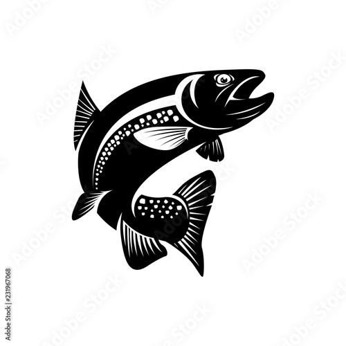 trout fish
