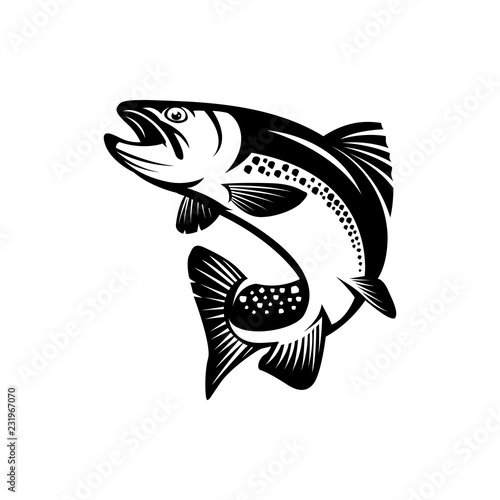 Wallpaper Mural trout fish