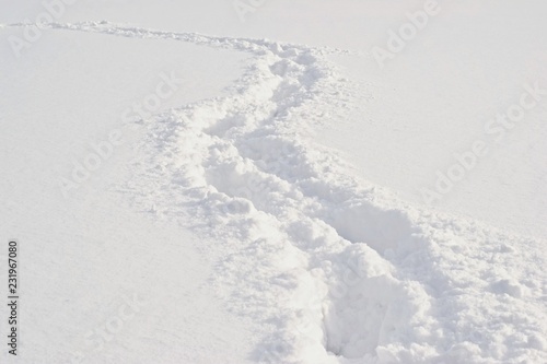 Pathway and foot prints in the deep fresh snow © Tunatura