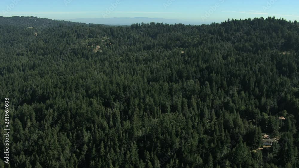 Aerial California USA farmland forest nature daylight Aerial California USA farmland forest nature daylight