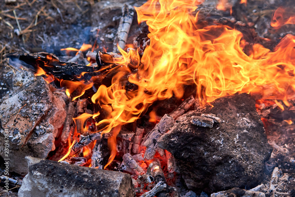 Burning fire. The bonfire burns in the forest. Texture of burning fire. Bonfire for cooking in the forest. Burning dry branches. Tourist fire in the forest. Eating on fire. Texture of burning branches Burning fire. The bonfire burns in the forest. Texture of burning fire. Bonfire for cooking in the forest. Burning dry branches. Tourist fire in the forest. Eating on fire. Texture of burning branches