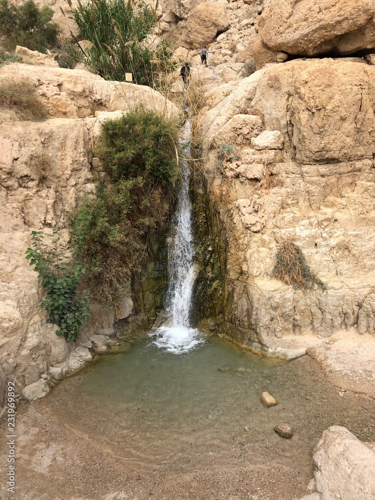 Ein Gedi Waterfall 