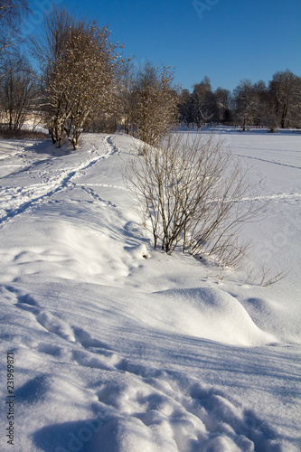 the path shore frozen pond