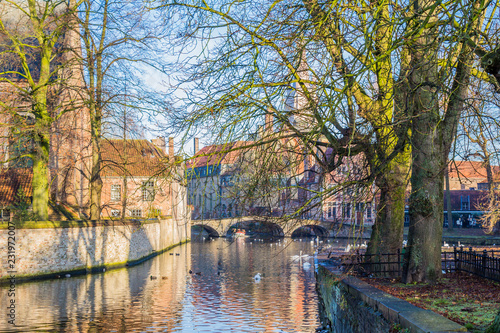 Canal with ducks swimming and trees with a blue sky on a wonderful and sunny winter day in the village of Bruges Belgium