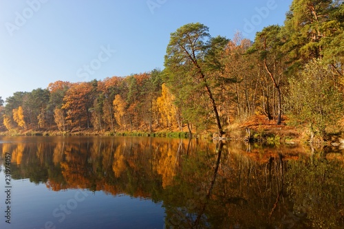 Autumn Trees Around Lake
