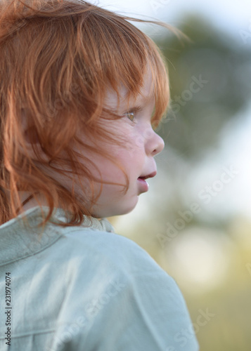 portrait of a little boy in nature