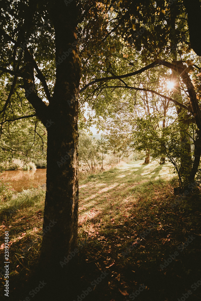 Fototapeta premium Julio Sans Solis