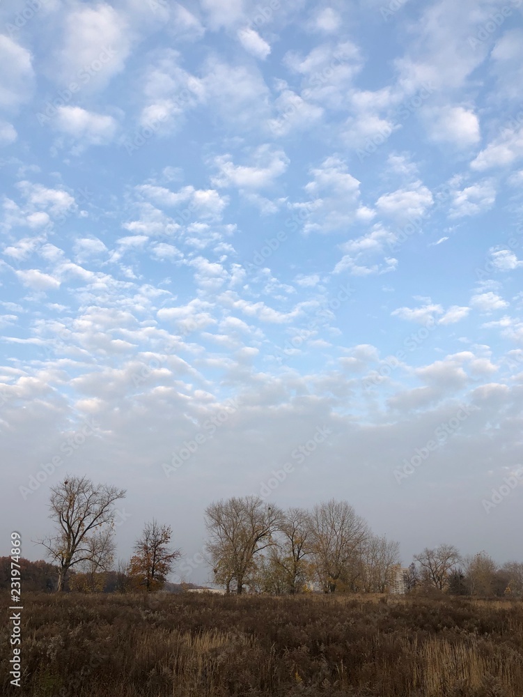 Obraz premium Autumn landscape
