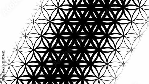 Abstract graphic slow motion black and white background pattern