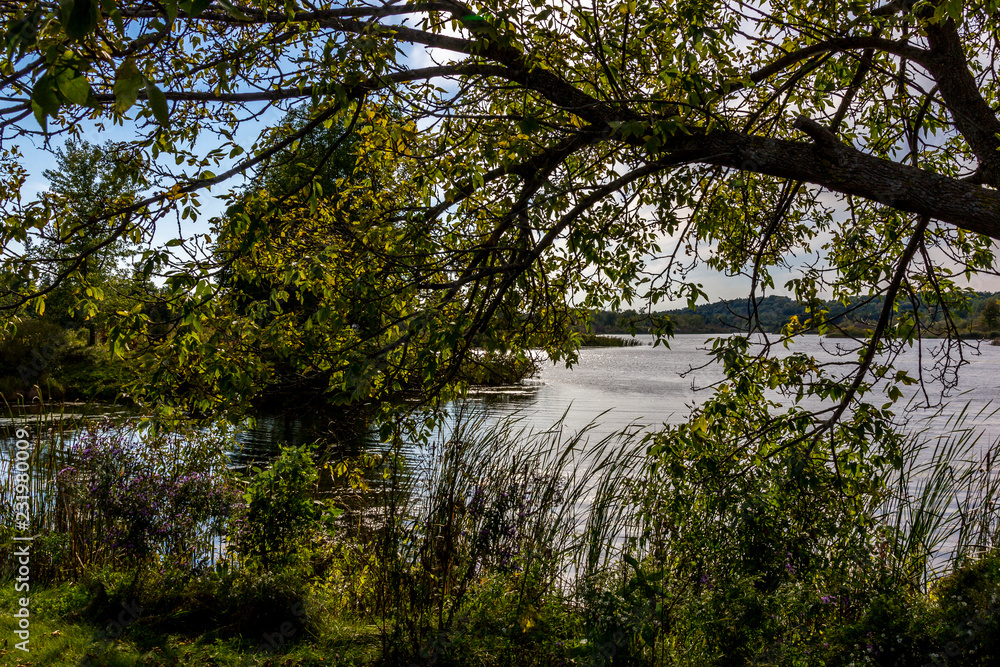 Lake in a recreation park in Kingston Canada Lake in a recreation park in Kingston Canada