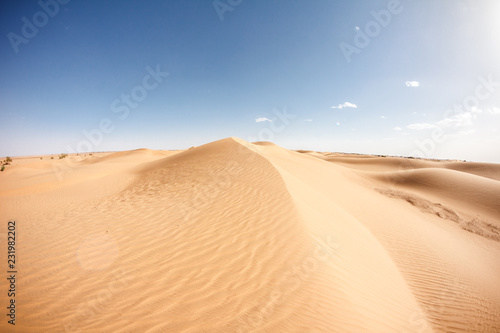 sahara desert