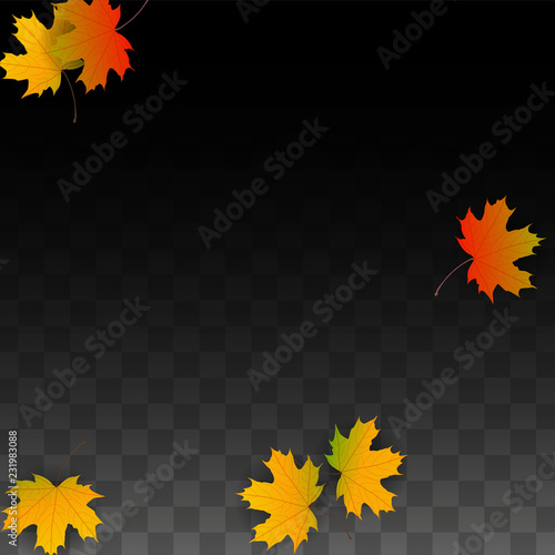 September Vector Background with Golden Falling Leaves. Autumn Illustration with Maple Red, Orange, Yellow Foliage. Isolated Leaf on Transparent Background. Bright Swirl. Suitable for Posters.