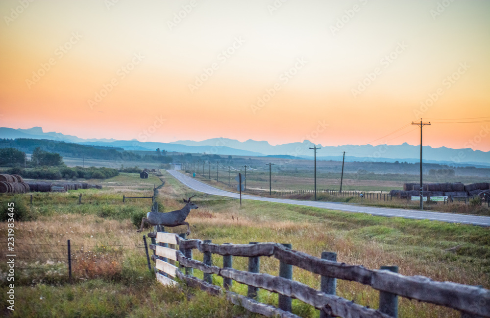 Country side  landscape with fence