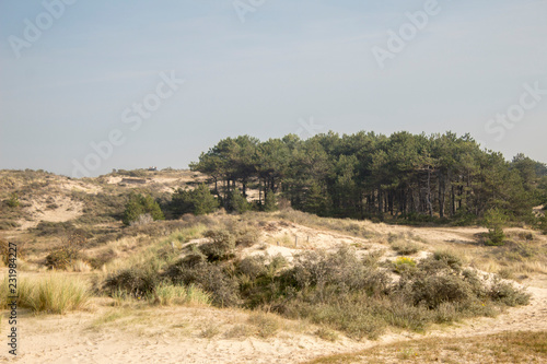 dunes of holland