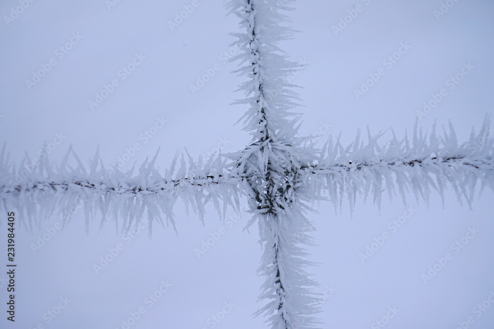 Frozen fence made of metal wire covered with frost crystals. Frozen fence made of metal wire covered with frost crystals.
