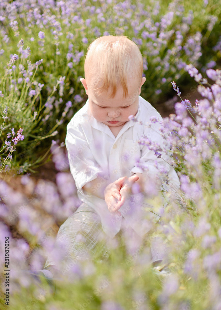 portrait of a little boy in nature portrait of a little boy in nature