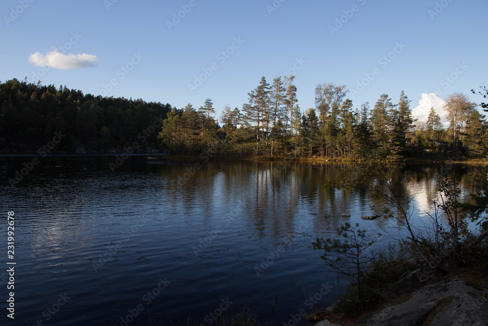 Reflection of trees in a Swedish lake