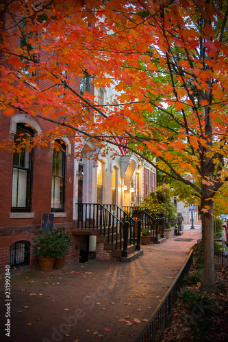 Pictoresque Street with a Red Leaves Tree in Autumn in Georgetown.